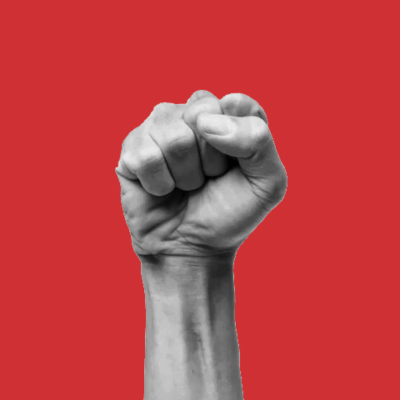 pexels-fauxels-3184657 (2) (1)